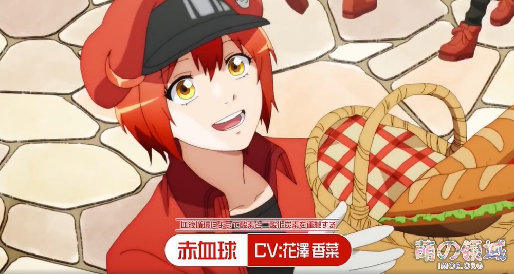 TV动画《工作细胞》第2季PV公开,2021年1月播出,特別上映版特报将于9月5日剧场公开 ACG综合 - IMOE.ORG TV动画《工作细胞》第2季PV公开,2021年1月播出,特別上映版特报将于9月5日剧场公开- 萌の领域