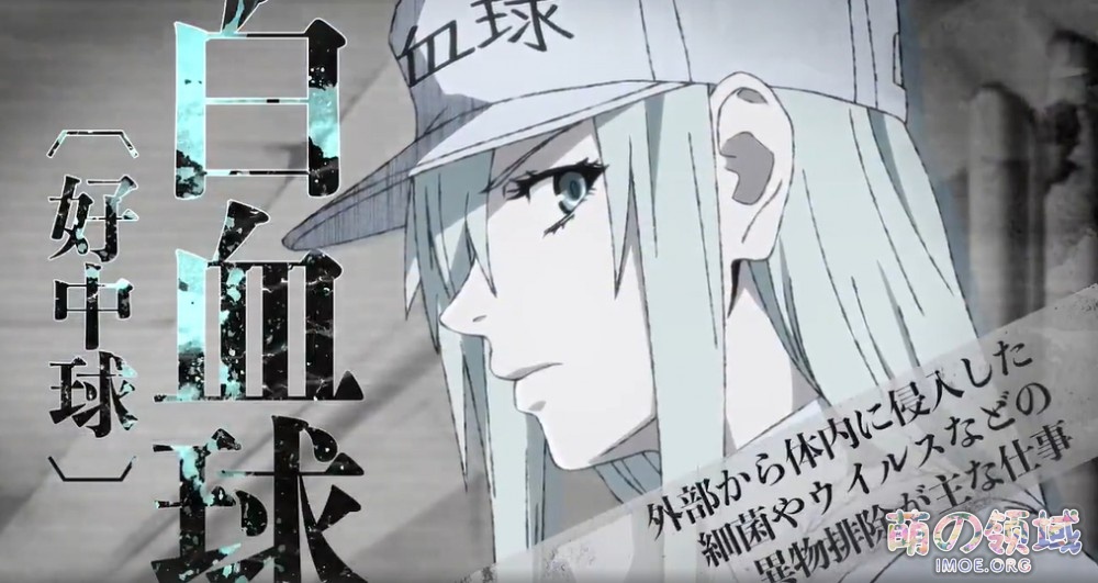 白血球大姐姐要来了!漫画《工作细胞BLACK》TV动画化确定,2021年1月播出 ACG综合 八卦杂谈 - IMOE.ORG 白血球大姐姐要来了!漫画《工作细胞BLACK》TV动画化确定,2021年1月播出- 萌の领域