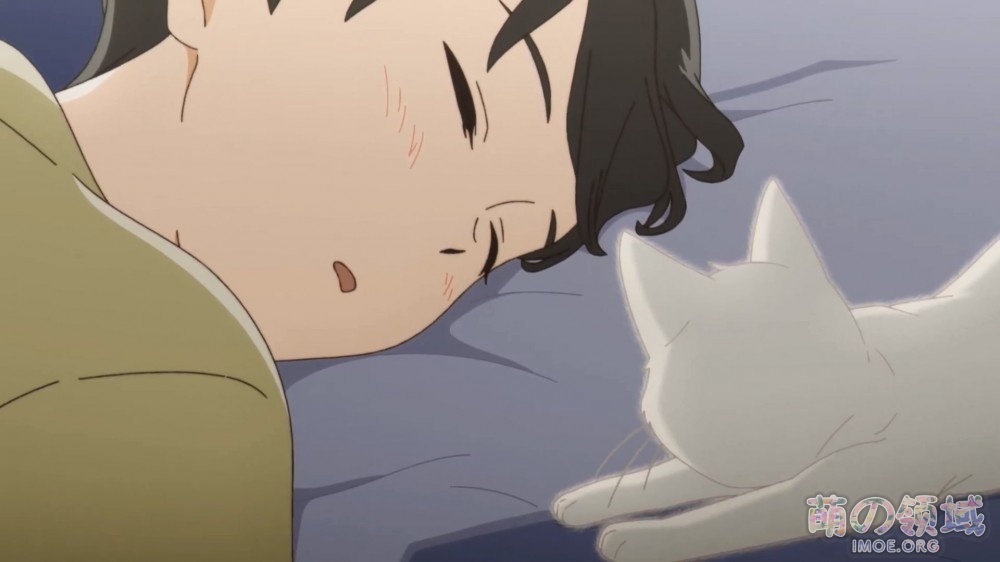 剧场版《想哭的我戴上了猫的面具》欢迎来到猫的世界篇PV公开 ACG综合 - IMOE.ORG 剧场版《想哭的我戴上了猫的面具》欢迎来到猫的世界篇PV公开- 萌の领域