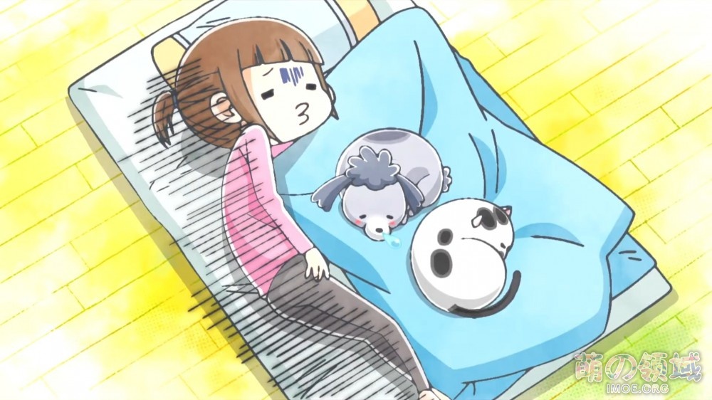 TV动画《养猫养狗每天很开心》第2弹PV公开,10月播出 ACG综合 - IMOE.ORG TV动画《养猫养狗每天很开心》第2弹PV公开,10月播出- 萌の领域