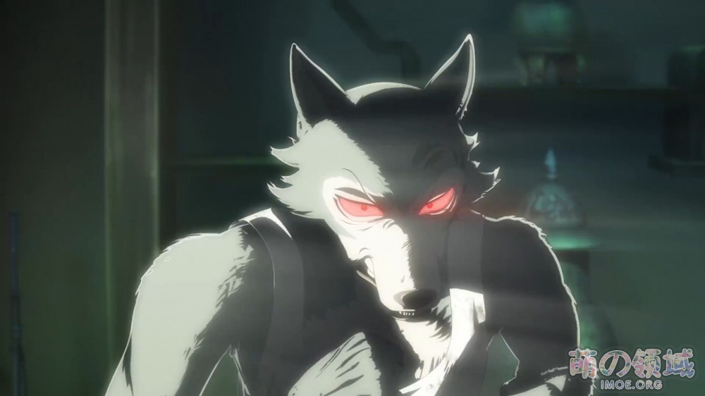 TV动画《动物狂想曲》第二季PV公开,2021年1月6日播出 ACG综合 - IMOE.ORG TV动画《动物狂想曲》第二季PV公开,2021年1月6日播出- 萌の领域