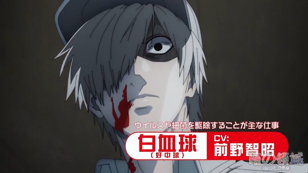 TV动画《工作细胞 第2季》第2弹PV公开，2021年1月9日开播- 萌の领域