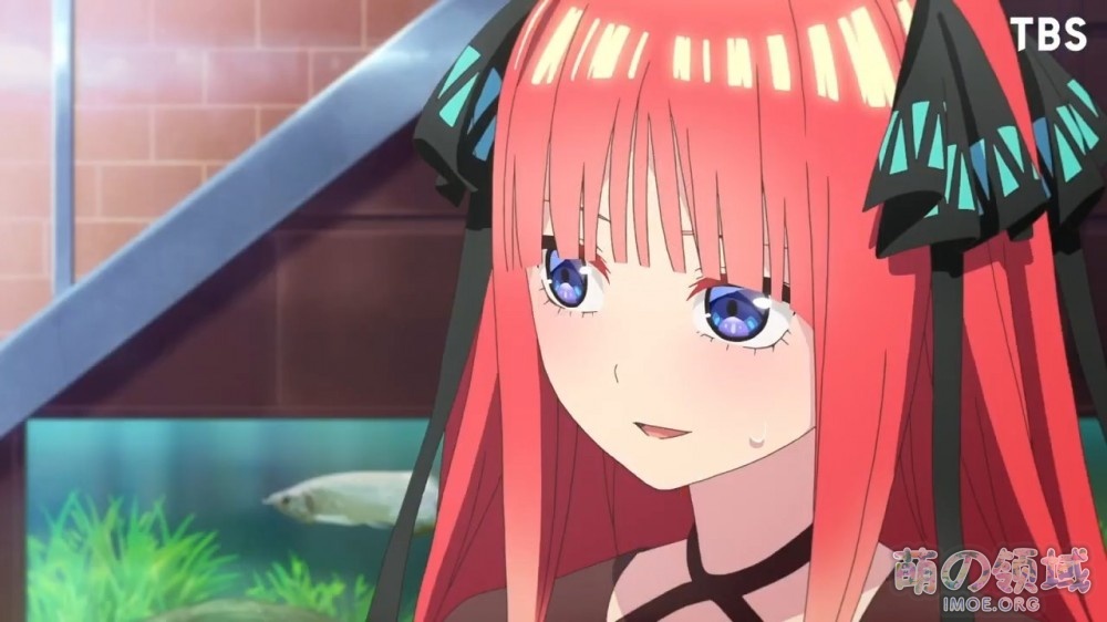 TV动画《五等分的新娘∬》正式PV公开,2021年1月7日播出 ACG综合 - IMOE.ORG TV动画《五等分的新娘∬》正式PV公开,2021年1月7日播出- 萌の领域