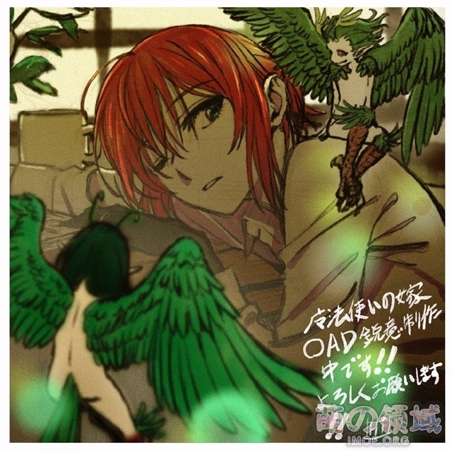 新作OAD动画《魔法使的新娘》企划启动,PV和主宣传图公开 ACG综合 - IMOE.ORG 新作OAD动画《魔法使的新娘》企划启动,PV和主宣传图公开- 萌の领域