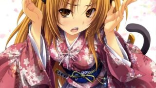 【番剧】[无修]织田信奈的野望【度盘/2.48GB】