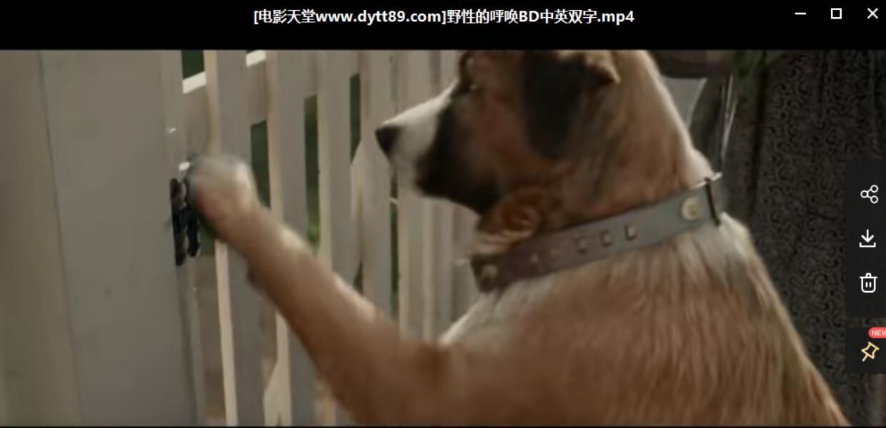 【电影】BD中英双字 野性的呼唤 【电影】BD中英双字 野性的呼唤