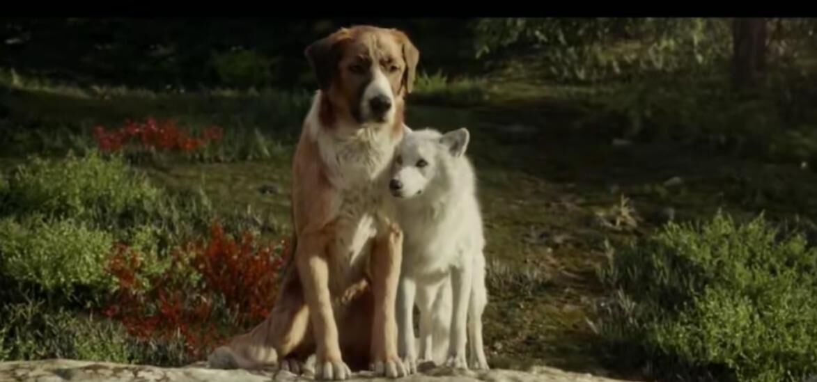 【电影】BD中英双字 野性的呼唤 【电影】BD中英双字 野性的呼唤