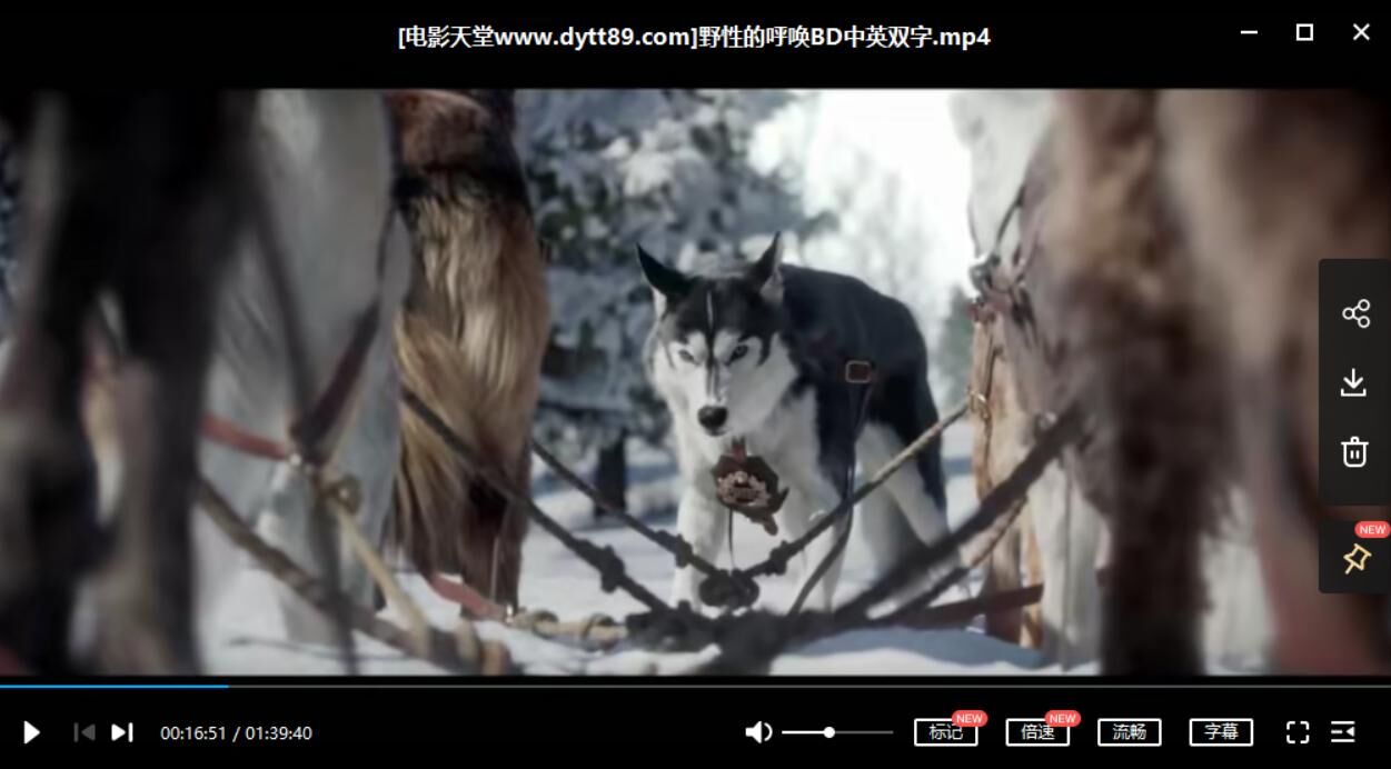 【电影】BD中英双字 野性的呼唤 【电影】BD中英双字 野性的呼唤