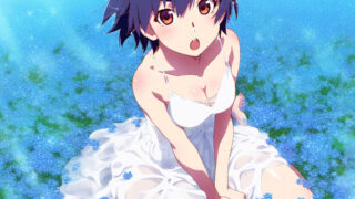 【番剧】物语系列 外传季&怪物季【磁链/更新至14】