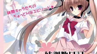 【ADV】十二神器之妹调教日记本体+FD-精翻【度盘】