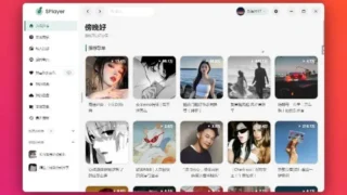 【软件推荐】【SPlayer 】电脑音乐播放器【度盘/夸克盘/100M】