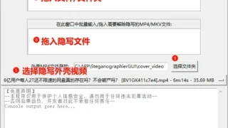 【工具分享】隐写者：把资源嵌入MP4文件的隐写工具