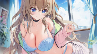 【番剧】支配者的王冠 【磁链/更新至13】