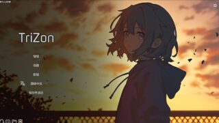 【单机游戏/PC】Trizon 卡牌少女不会受伤【度盘/338M】