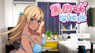 【ADV】【中文】 黑肉妹妹开飞机【杯】 V1.1官方中文步兵版 【度盘/500M】