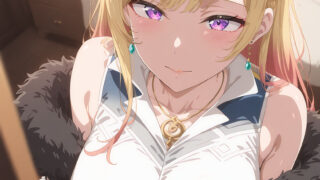 【番剧】被驅逐出勇者隊伍的白魔導師，被 S 級冒險者撿到【磁链/更新至12】