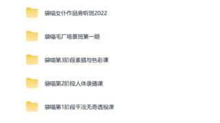 【学习资料】【网课】dm袋喵毛厂绘画+DM袋喵八门+附上krenz课程心得 【度盘】