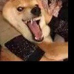 三峡我是你大坝